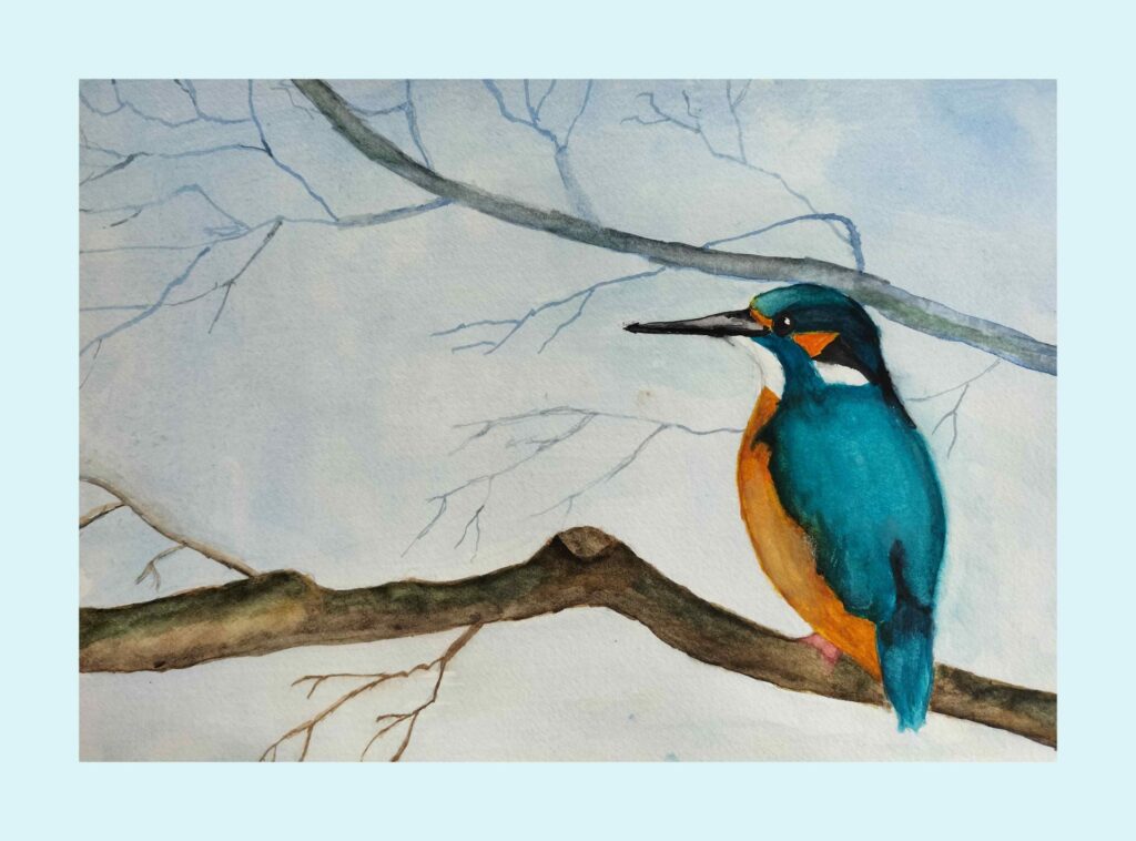 kingfisher on a branch