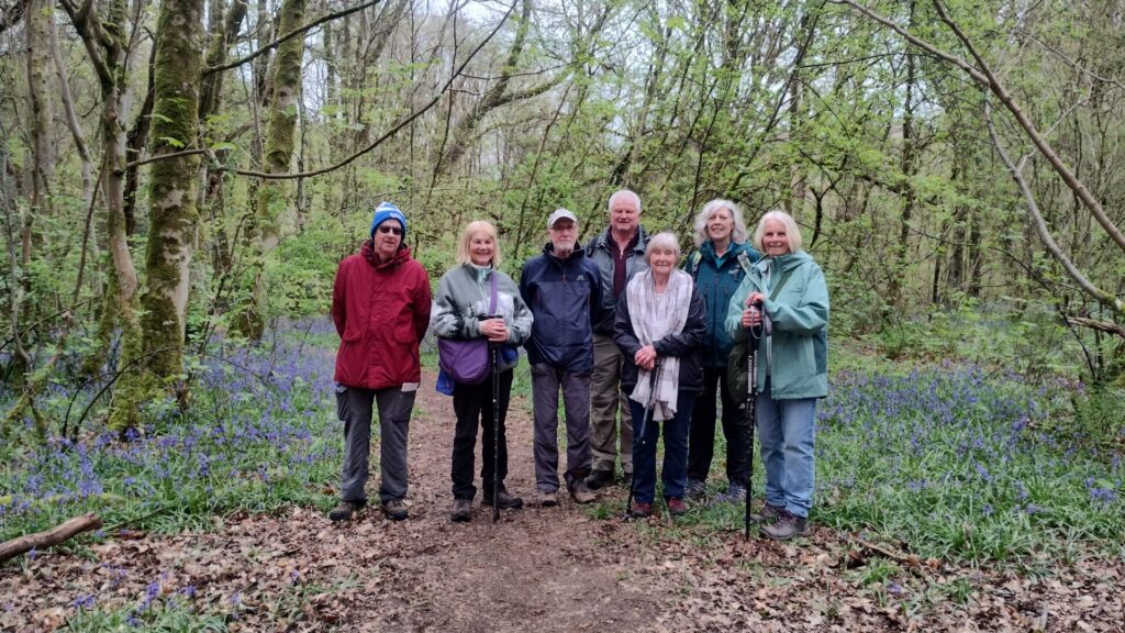 Tuesday Walkers amongst the bluebells at Waters Meet, Caldbeck